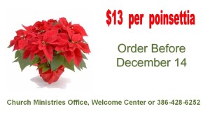 Poinsettias